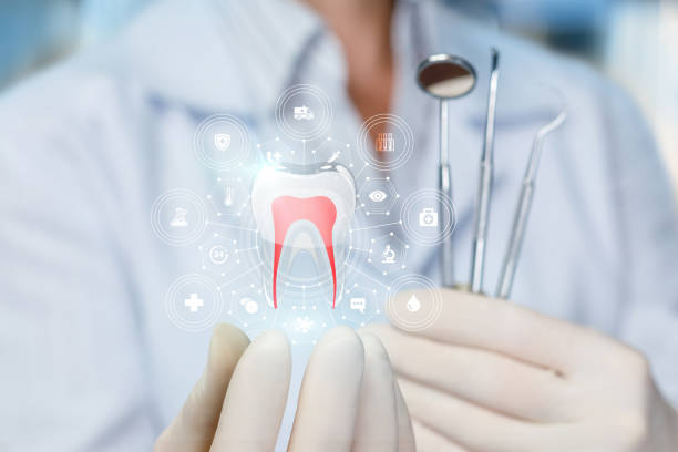 Best Full Mouth Reconstruction  in New Philadelphia, OH